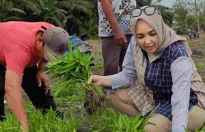 Reses Digelar, Petani Masih Keluhkan Kebutuhan Dasar