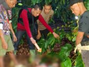 Terungkap, Kasus Penusukan di OKU Diduga Dipicu Dendam Pribadi yang Lama Terpendam
