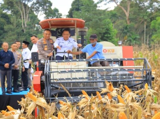 Produksi Jagung Sumsel Naik Tapi Sejumlah Petani Mengaku Belum Sepenuhnya Sejahtera
