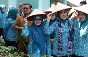 TP PKK Sumsel Dorong Desa Percontohan di OKI, Hadapi Tantangan Akses dan Fiskal