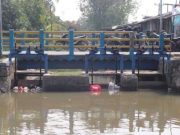 Ribuan hektare sawah bergantung pada satu saluran irigasi. Kini saluran itu menyempit akibat sedimentasi dan bangunan di bantaran