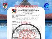 Terungkap! Informasi Mengatasnamakan BKPSDM Pagar Alam Disebut Tidak Resmi