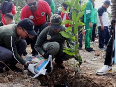 Ditanami Ratusan Pohon, Mampukah Bantaran Sukatani Tetap Hijau?
