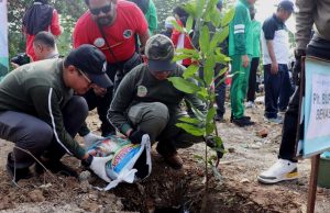 Ditanami Ratusan Pohon, Mampukah Bantaran Sukatani Tetap Hijau?