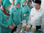 PKK Sumsel Dorong UMKM Muratara, Tapi Produk Lokal Masih Hadapi Tantangan