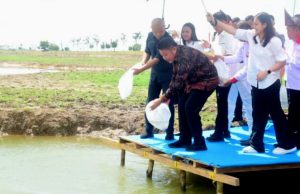 Jamintel dan Herman Deru Ikut Melebung, Namun Masa Depan Tradisi Ini Masih Menjadi Pertanyaan