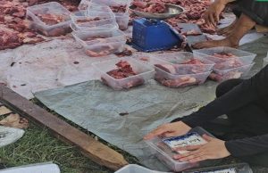 Terungkap, Program Sosial Kurban Perusahaan Dinilai Positif, Tapi Warga Menanti Kepedulian Berkelanjutan