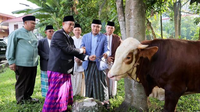 pemkot45445555