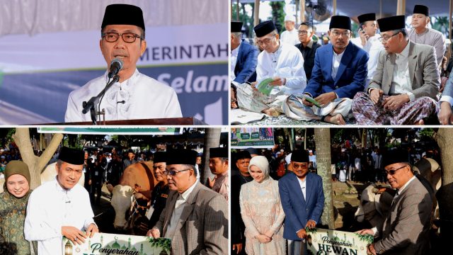 ratu dewa 3333 copy