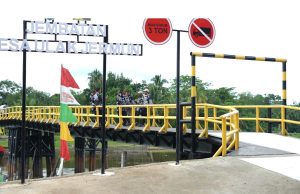 Terungkap Usai Peresmian 4 Jembatan di OKI, Manfaat Nyata Masih Jadi Pertanyaan