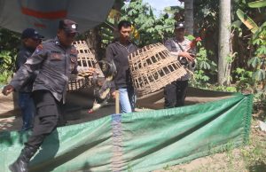 Polres Blitar Kota Tindak Cepat Dugaan Perjudian Sabung Ayam, Arena di Ponggok dan Srengat Dibubarkan