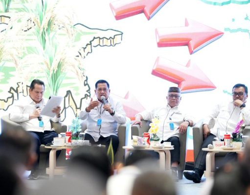 Banyuasin Tawarkan Lumbung Pangan Nasional, Mampukah Pasar dan Petani Sama-Sama Diuntungkan?