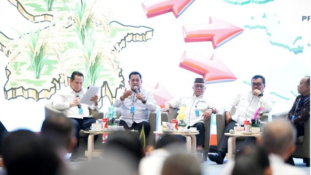 banyuasin 11