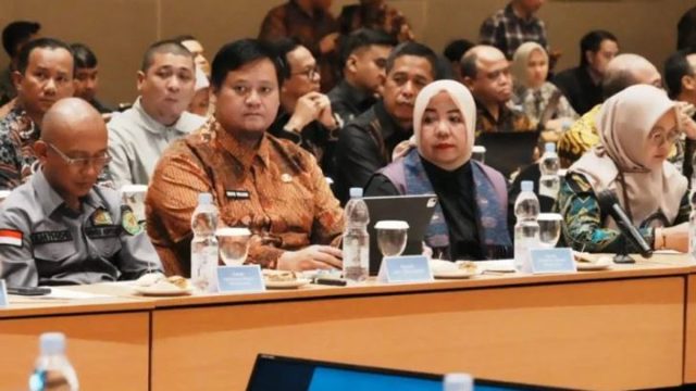 banyuasin3