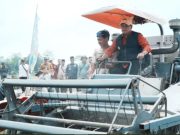 Panen Raya IP 200 Banyuasin Tembus 1,044 Juta Ton, Bupati Dorong Percepatan Panen Hadapi Hama Tikus