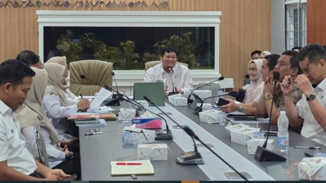 banyuasin5