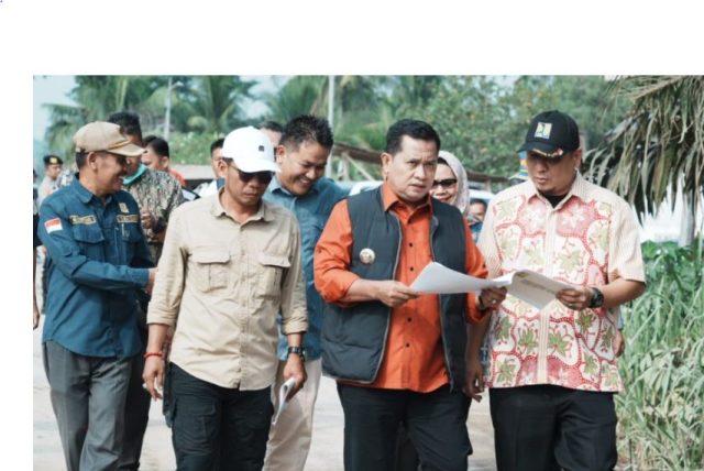 banyuasin6