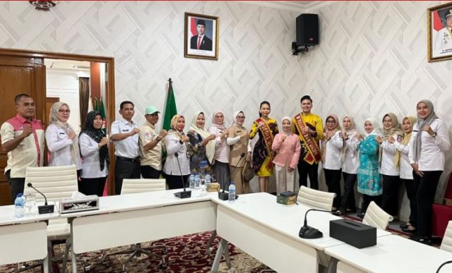 banyuasin7