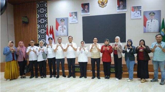 kotapalembang3