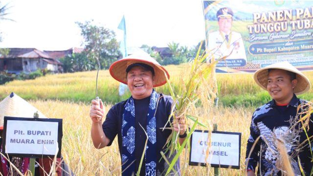muara enim