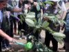 Gubernur Sumsel Tinjau Inovasi Pertanian di SSTP, Perkuat Gerakan Sumsel Mandiri Pangan Berbasis Riset