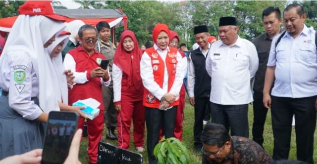 palembang1
