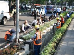 Sambut HUT ke-81 Kemerdekaan RI, Sekda Herman dan Para Pegawai Gedung Sate Gorong-royong Membersihkan Lingkungan