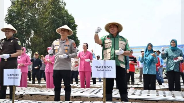PAGAR ALAM13