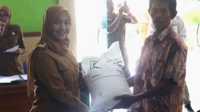 PAGAR ALAM3