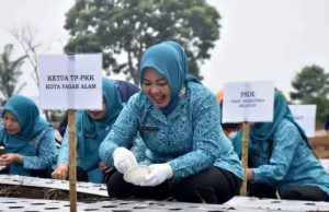 Terungkap, Penanaman Bawang Putih di Pagar Alam Sisakan Pertanyaan