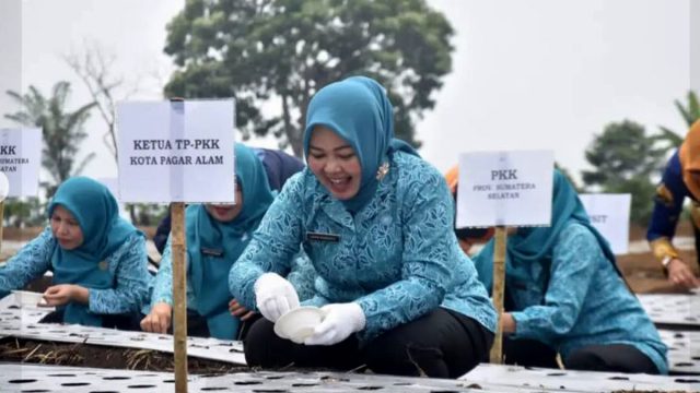 PAGAR ALAM35