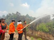 Tanjung Lago Kembali Dilanda Karhutla, Pembakaran Sampah Picu Api Meluas