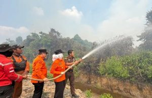 Tanjung Lago Kembali Dilanda Karhutla, Pembakaran Sampah Picu Api Meluas