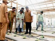 Banyuasin Kembangkan Smart Greenhouse Melon, Tapi Keberlanjutannya Dipertanyakan
