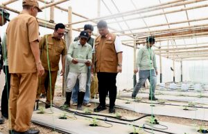 Banyuasin Kembangkan Smart Greenhouse Melon, Tapi Keberlanjutannya Dipertanyakan