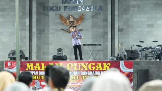 banyuasin1