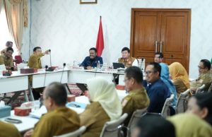 Pemkab Banyuasin Kejar Penyelesaian Sensus Ekonomi 2026, Progres Pendataan Tembus 78 Persen