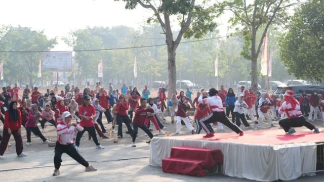 banyuasin2