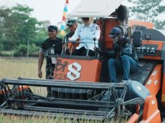 Panen Raya Padi Banyuasin Tembus 1,216 Juta Ton, Sinergi TNI dan Pemda Diperkuat