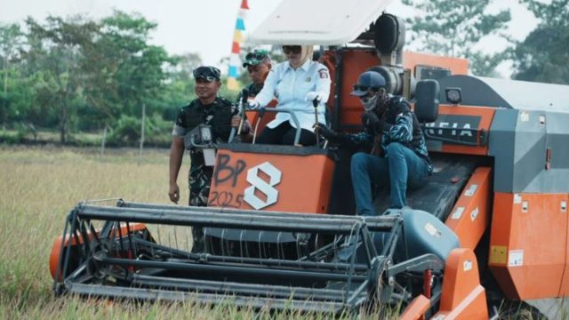 banyuasin3