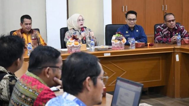banyuasin3