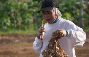 Pemkot Pagar Alam Siapkan 10 Hektare Lahan Bawang Putih, Didorong Jadi Sentra Pangan