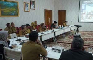 Bupati Banyuasin Ikuti Raker Komisi II DPR RI Bahas Aset Daerah dan Reforma Agraria