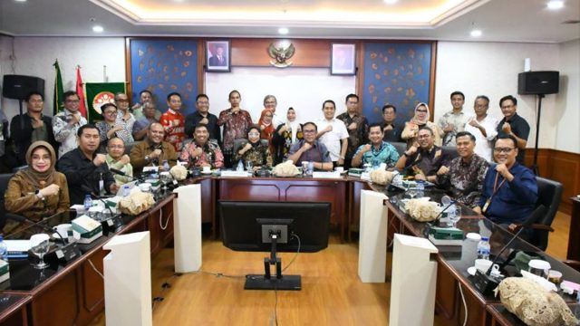 banyuasin4