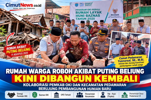 cimut6