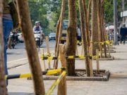 Pemkot Bandung Tanam Kembali Pohon di Jalan Riau, Pelanggar Dikenai Sanksi