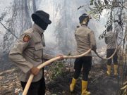 Karhutla OKI, Tim Aman Nusa II Dinginkan 1 Hektare Lahan Dekat Permukiman Warga