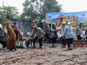Terungkap, Gerakan Tanam Padi Serempak di Pagar Alam Sisakan Pertanyaan