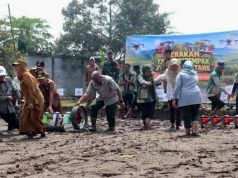 Terungkap, Gerakan Tanam Padi Serempak di Pagar Alam Sisakan Pertanyaan