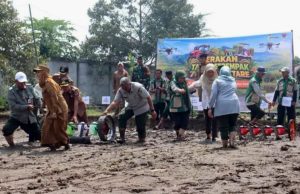 Terungkap, Gerakan Tanam Padi Serempak di Pagar Alam Sisakan Pertanyaan